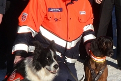 Rettungshunde Ben u Watson mit Karl Kumlehn 56