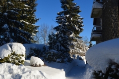 Schnee 26
