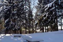 schnee 30