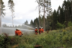 Waldbrand
